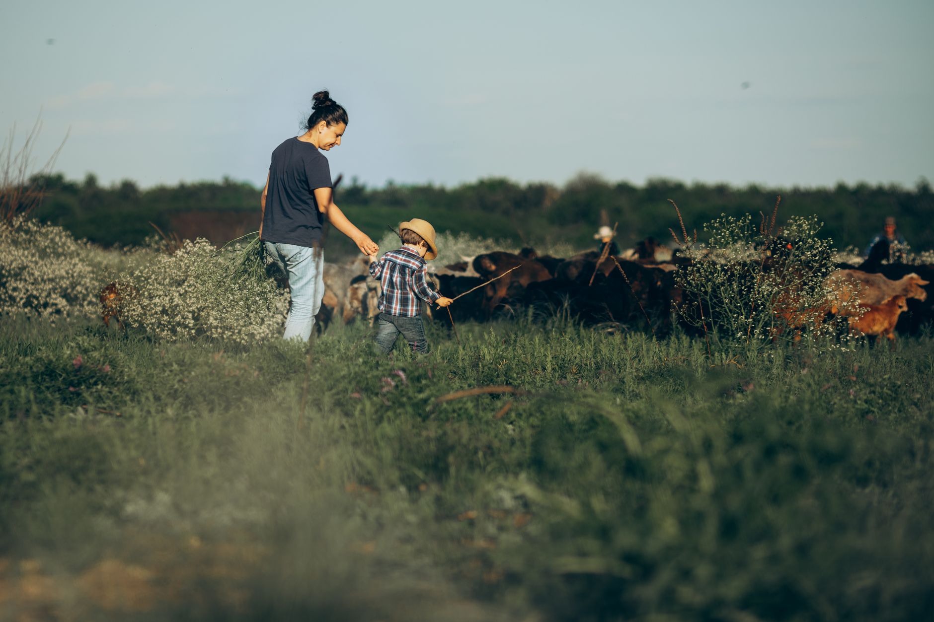 Succession agricole : transmettre une exploitation en 2026, abattements et pacte Dutreil