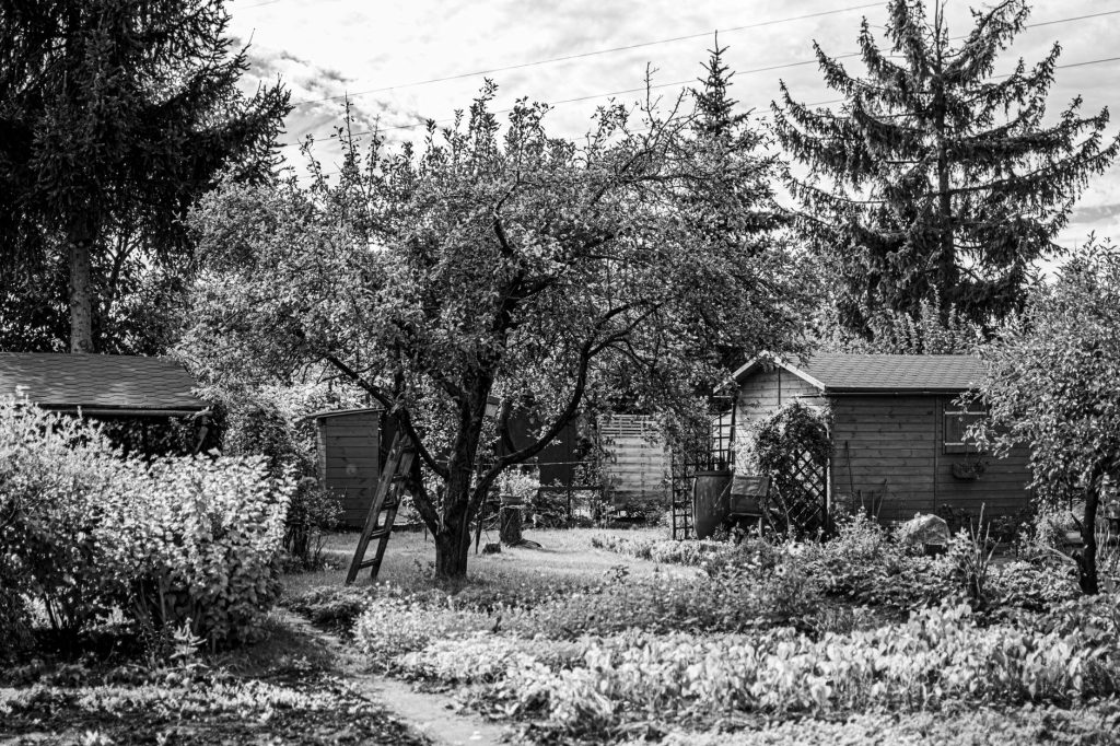 Abri de jardin en bois installé dans un jardin, soumis à la taxe d’aménagement au-delà de 5 m²